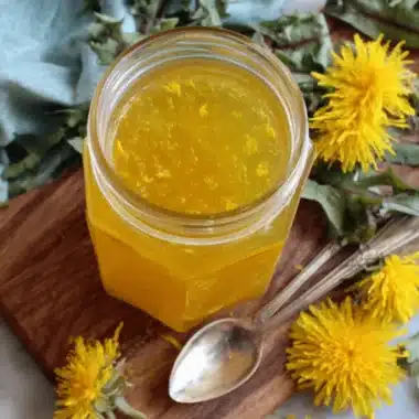 Unlock the Magic of Fresh Dandelion Jelly 4 Jar of shimmering golden Fresh Dandelion Jelly on a rustic wooden board, framed by fresh yellow dandelion blooms and green leaves.