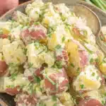 Amazing Easy Red Potato Salad Recipe 8 Close-up, overhead shot of a bowl brimming with creamy red potato salad, garnished with fresh green onions and ready to serve.